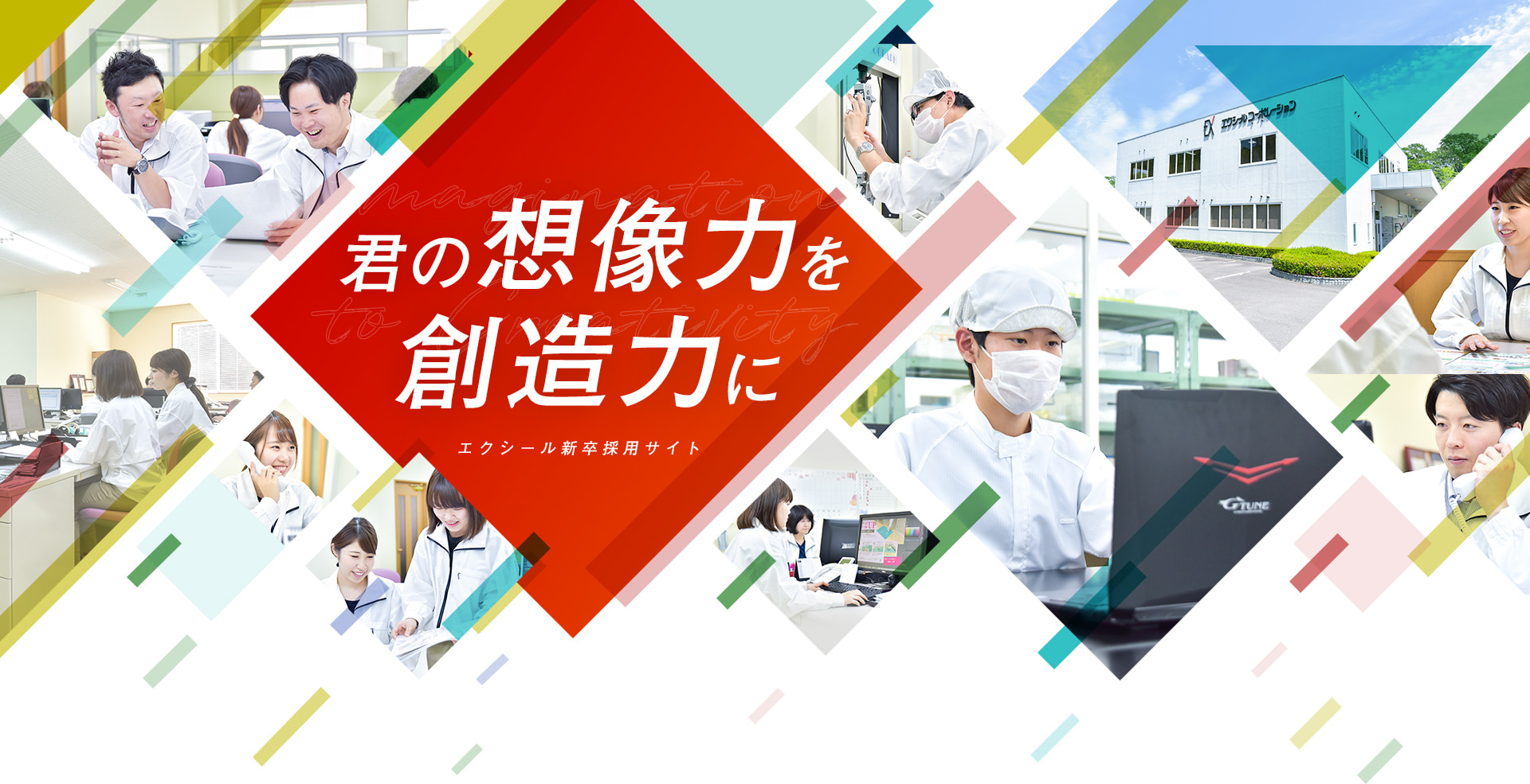 エクシール採用